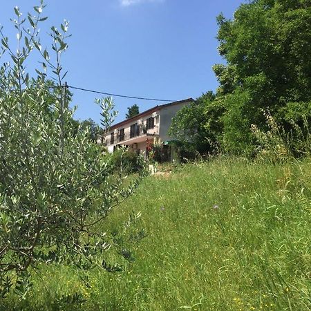 Apartment Cimbora, Salara Farmhouse Koper Exterior photo