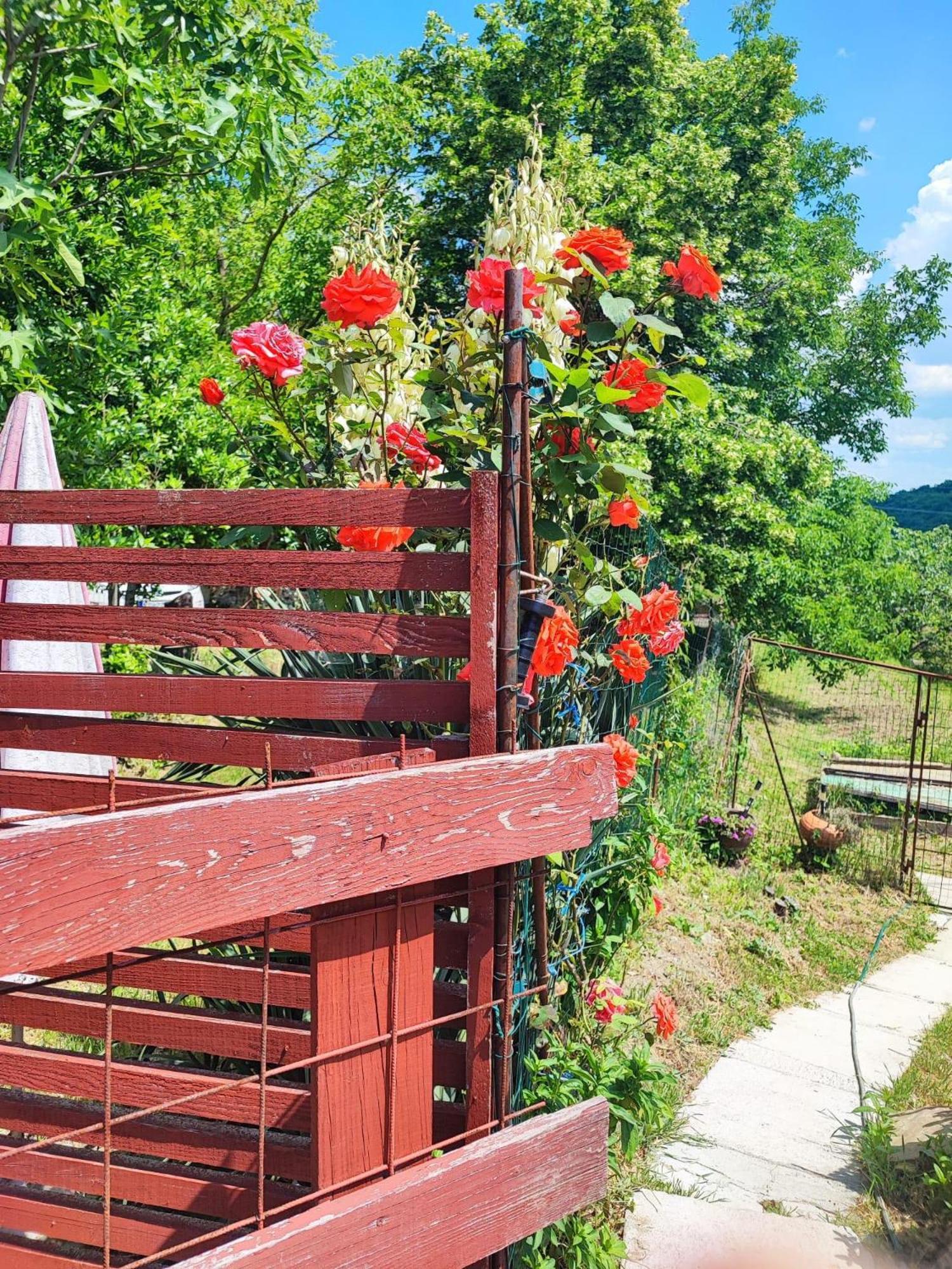 Apartment Cimbora, Salara Farmhouse Koper Exterior photo
